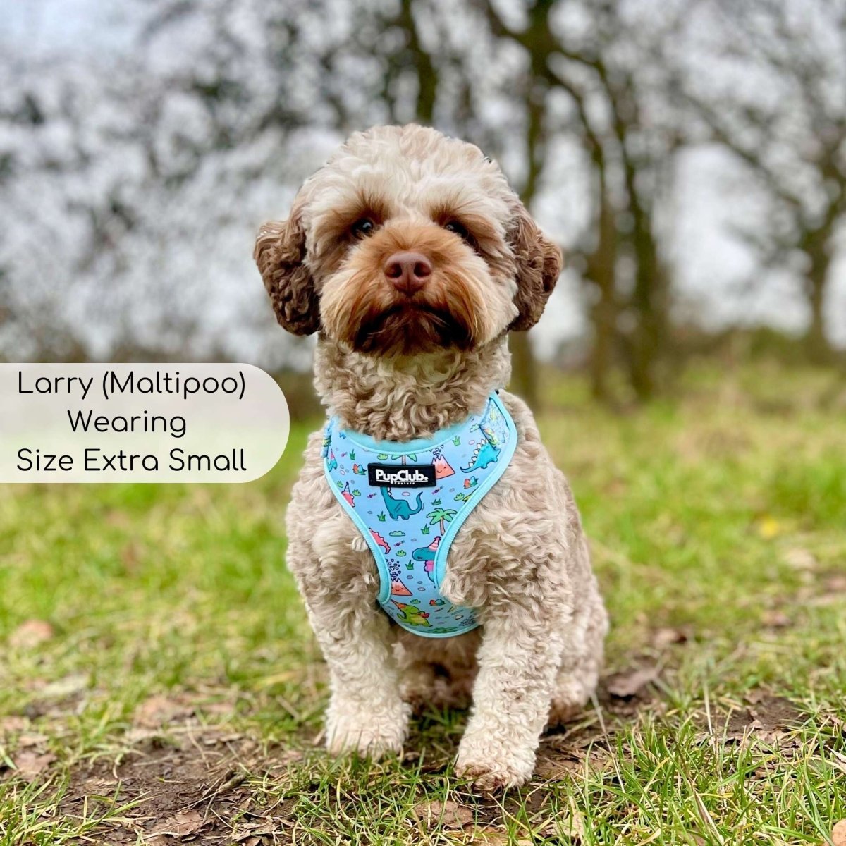 Adjustable Harness - Jurassic Party - mezetto PupClub Couture PupClub Couture