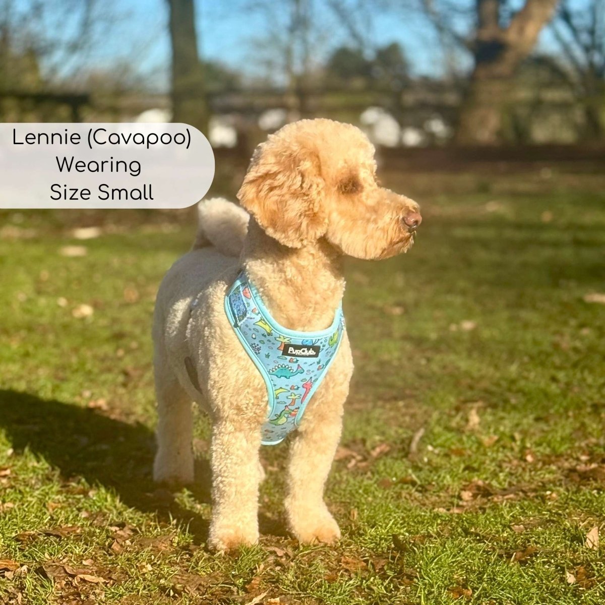 Adjustable Harness - Jurassic Party - mezetto PupClub Couture PupClub Couture