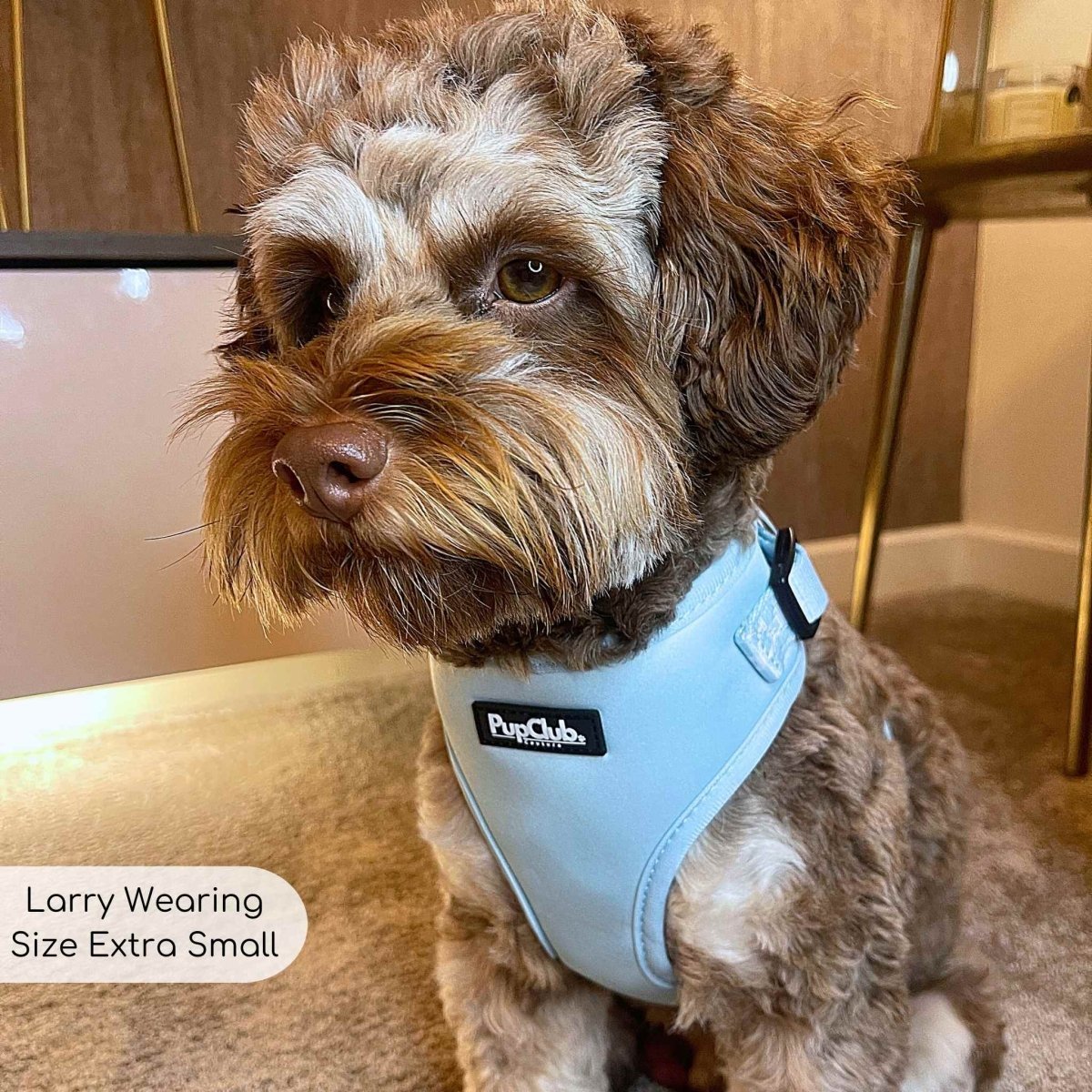 Adjustable Harness - Pastel Blue - mezetto PupClub Couture PupClub Couture