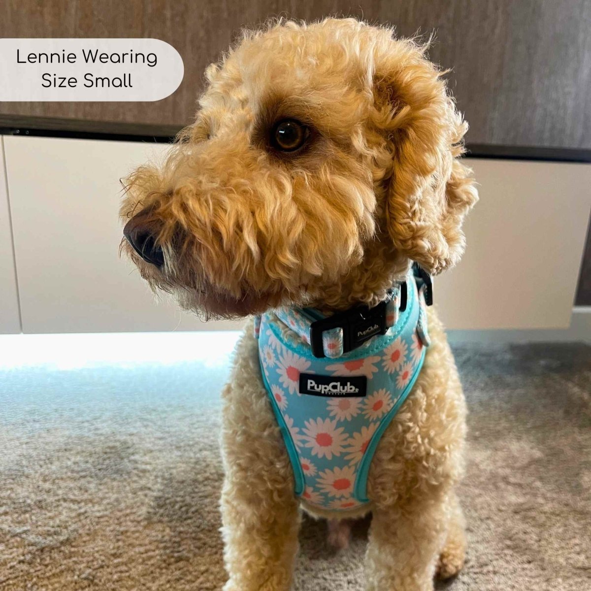 Adjustable Harness - Pastel Daisy - mezetto PupClub Couture PupClub Couture