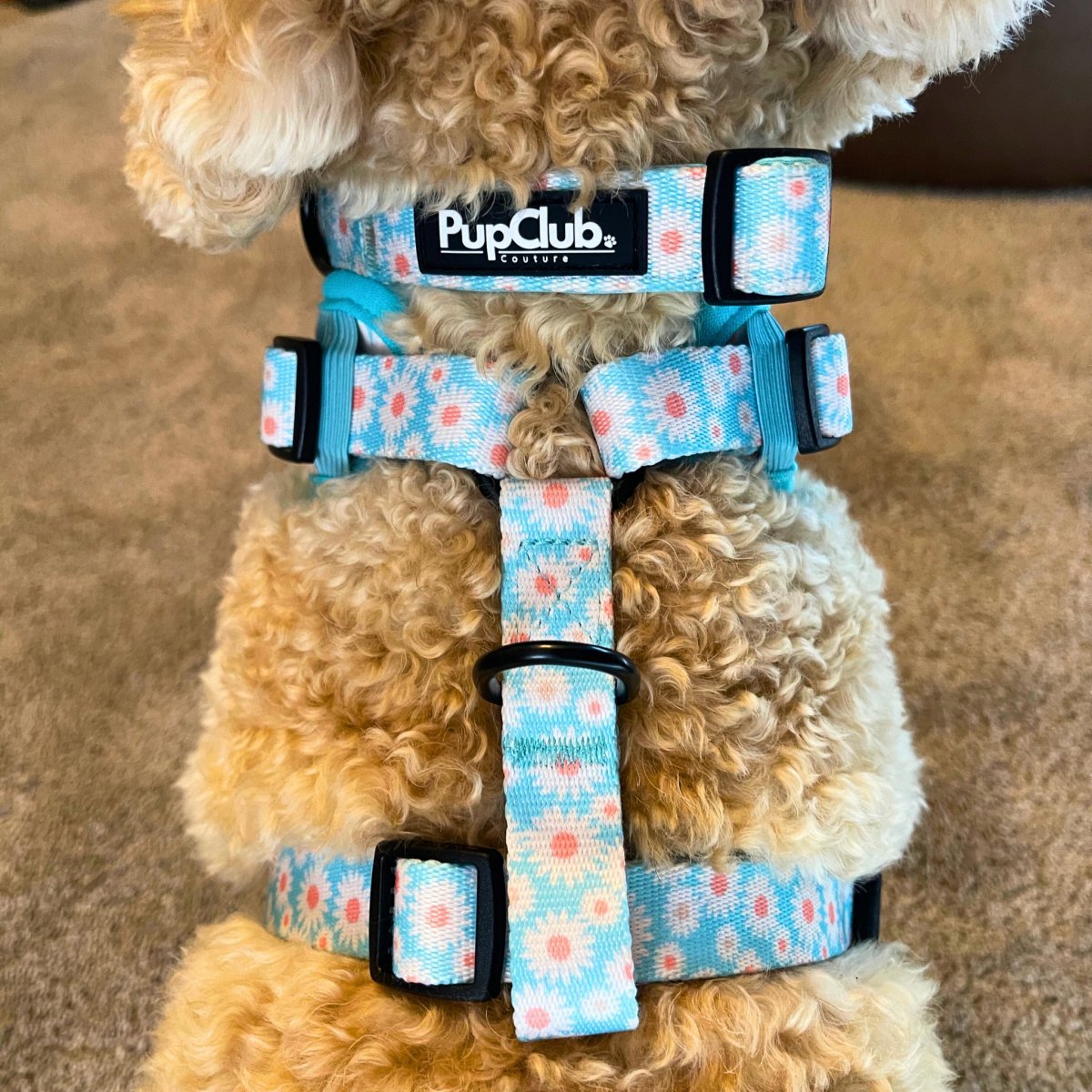 Adjustable Harness - Pastel Daisy - mezetto PupClub Couture PupClub Couture