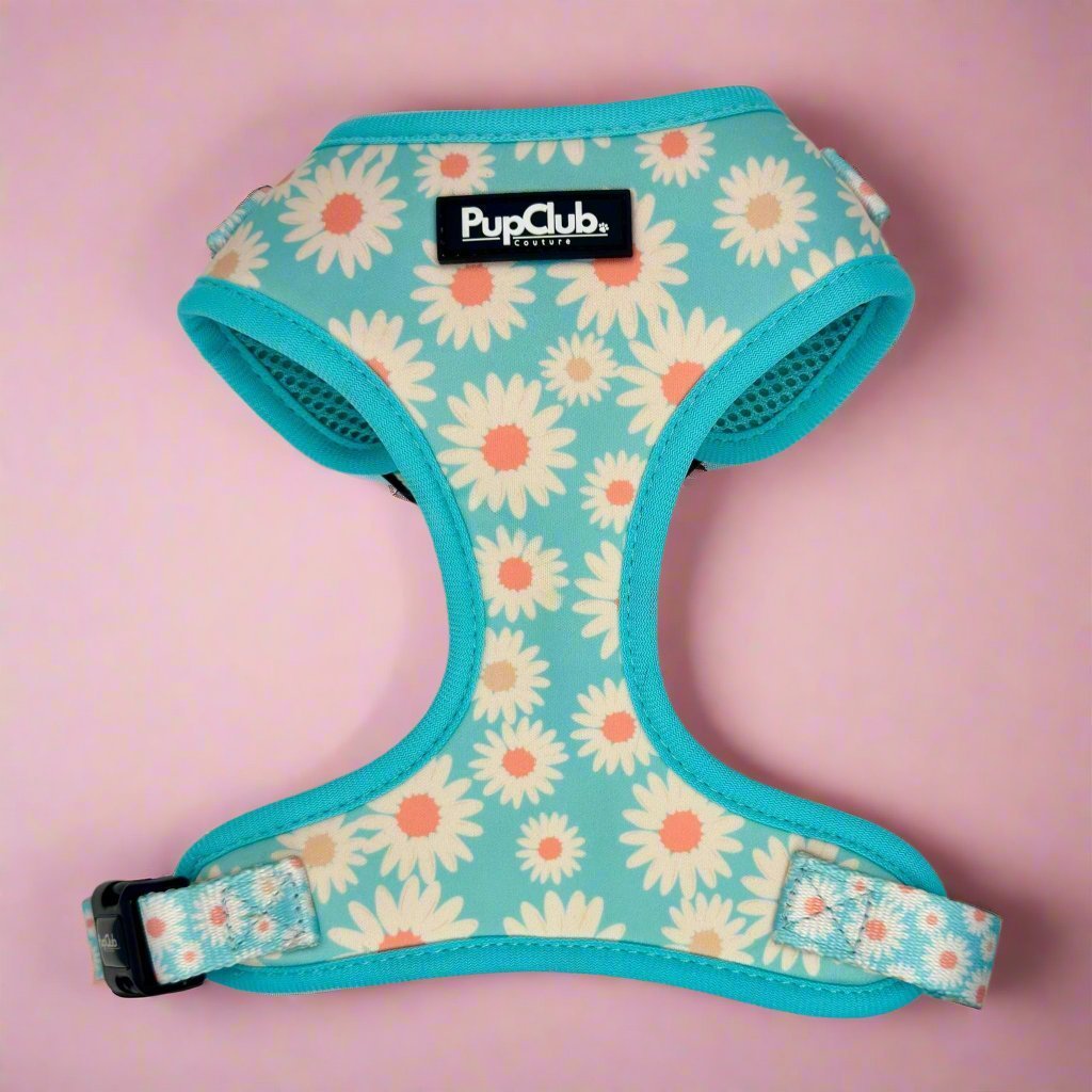 Adjustable Harness - Pastel Daisy - mezetto PupClub Couture PupClub Couture