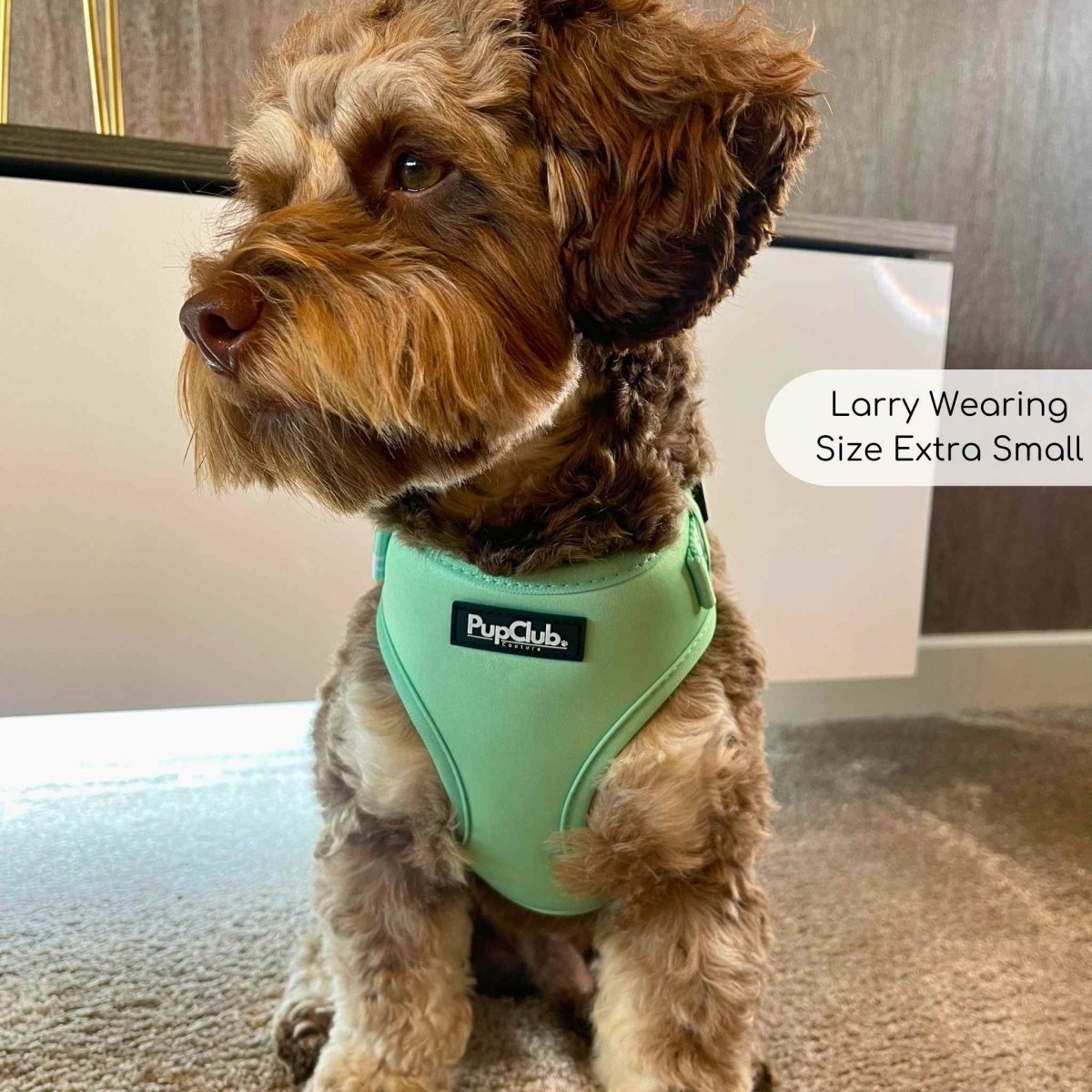 Adjustable Harness - Pastel Mint Green - mezetto PupClub Couture PupClub Couture