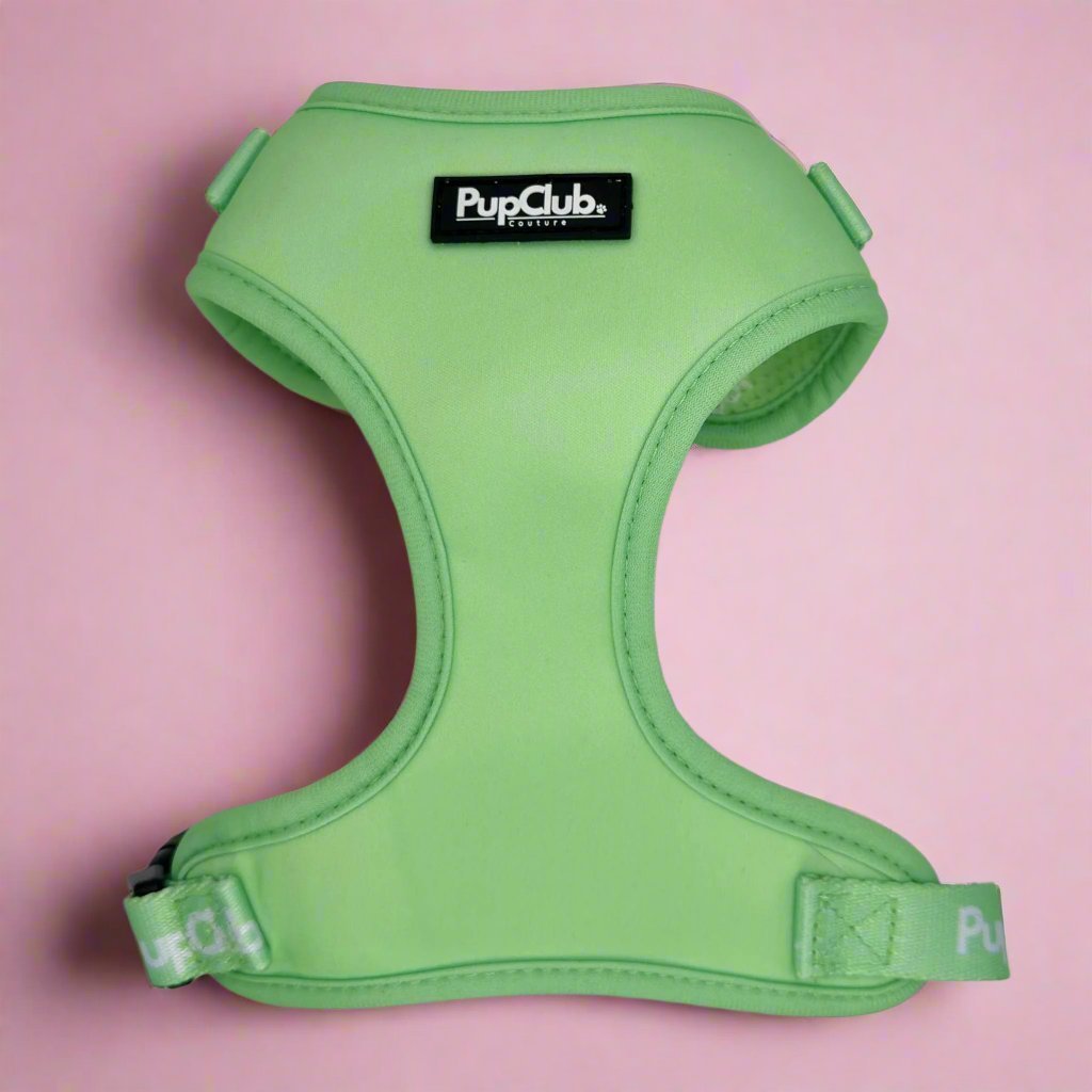 Adjustable Harness - Pastel Mint Green - mezetto PupClub Couture PupClub Couture
