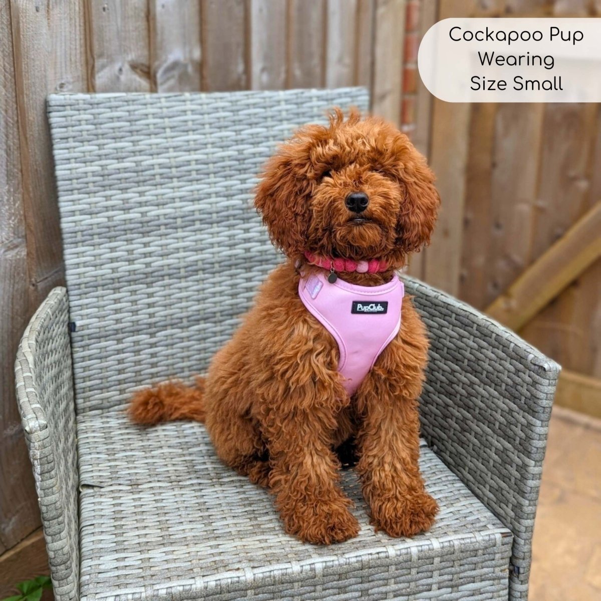 Adjustable Harness - Pastel Pink - mezetto PupClub Couture PupClub Couture