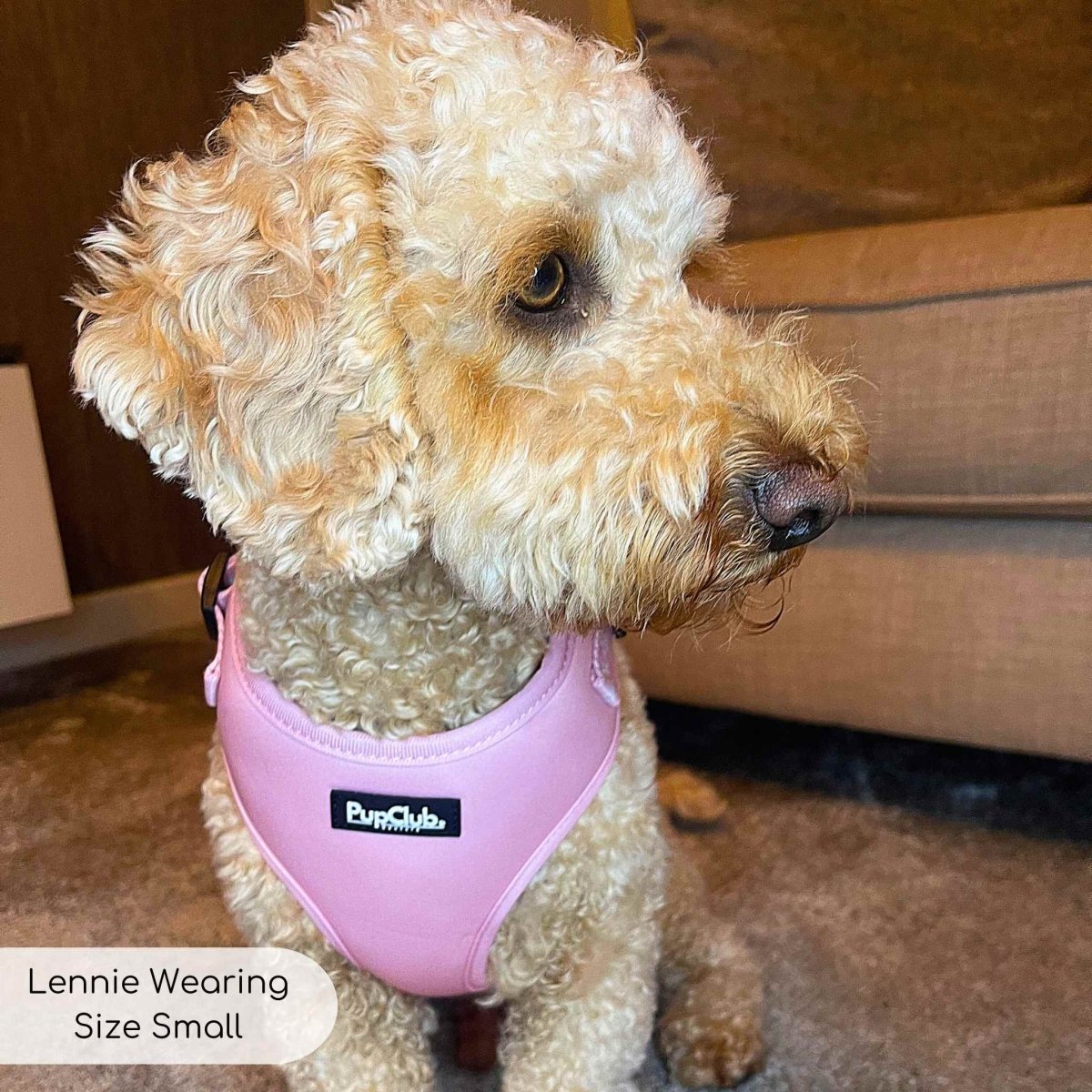 Adjustable Harness - Pastel Pink - mezetto PupClub Couture PupClub Couture