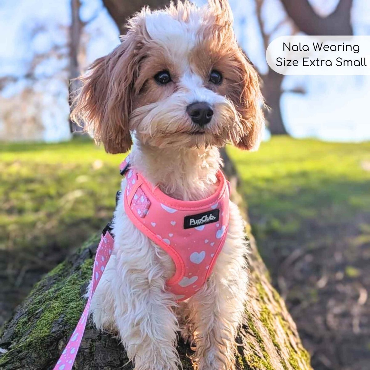 Adjustable Harness - Peachy Hearts - mezetto PupClub Couture PupClub Couture