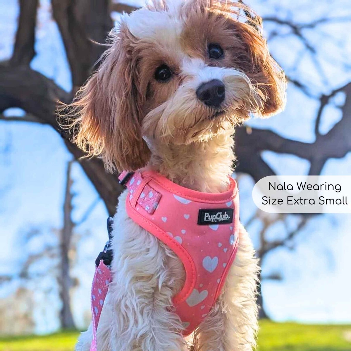 Adjustable Harness - Peachy Hearts - mezetto PupClub Couture PupClub Couture