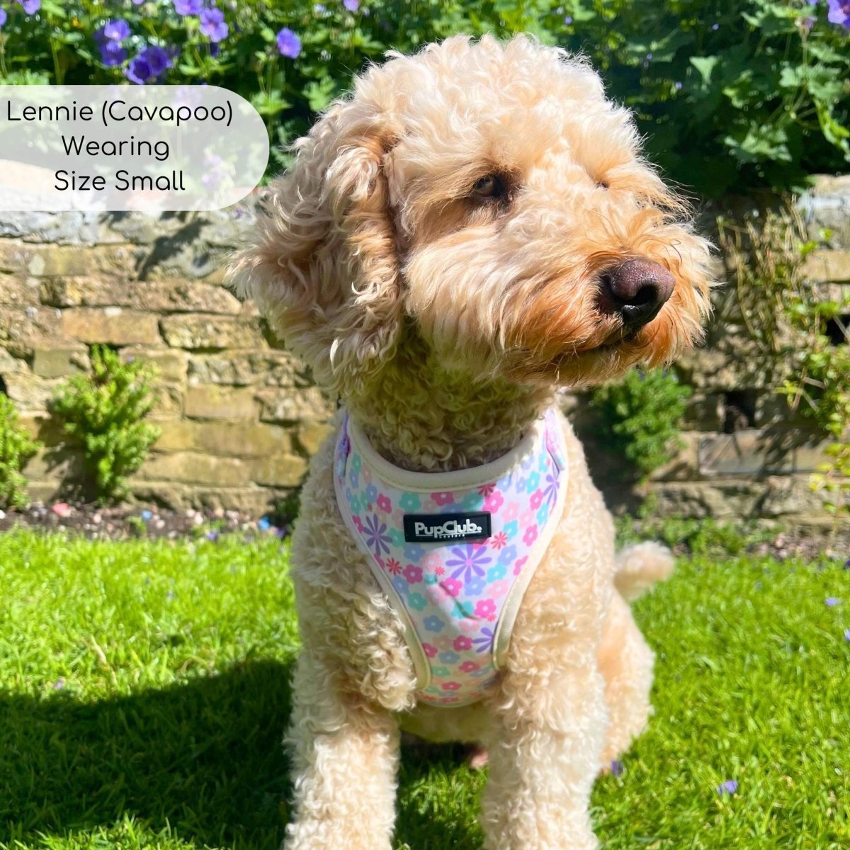 Adjustable Harness - Pretty Petals - mezetto PupClub Couture PupClub Couture