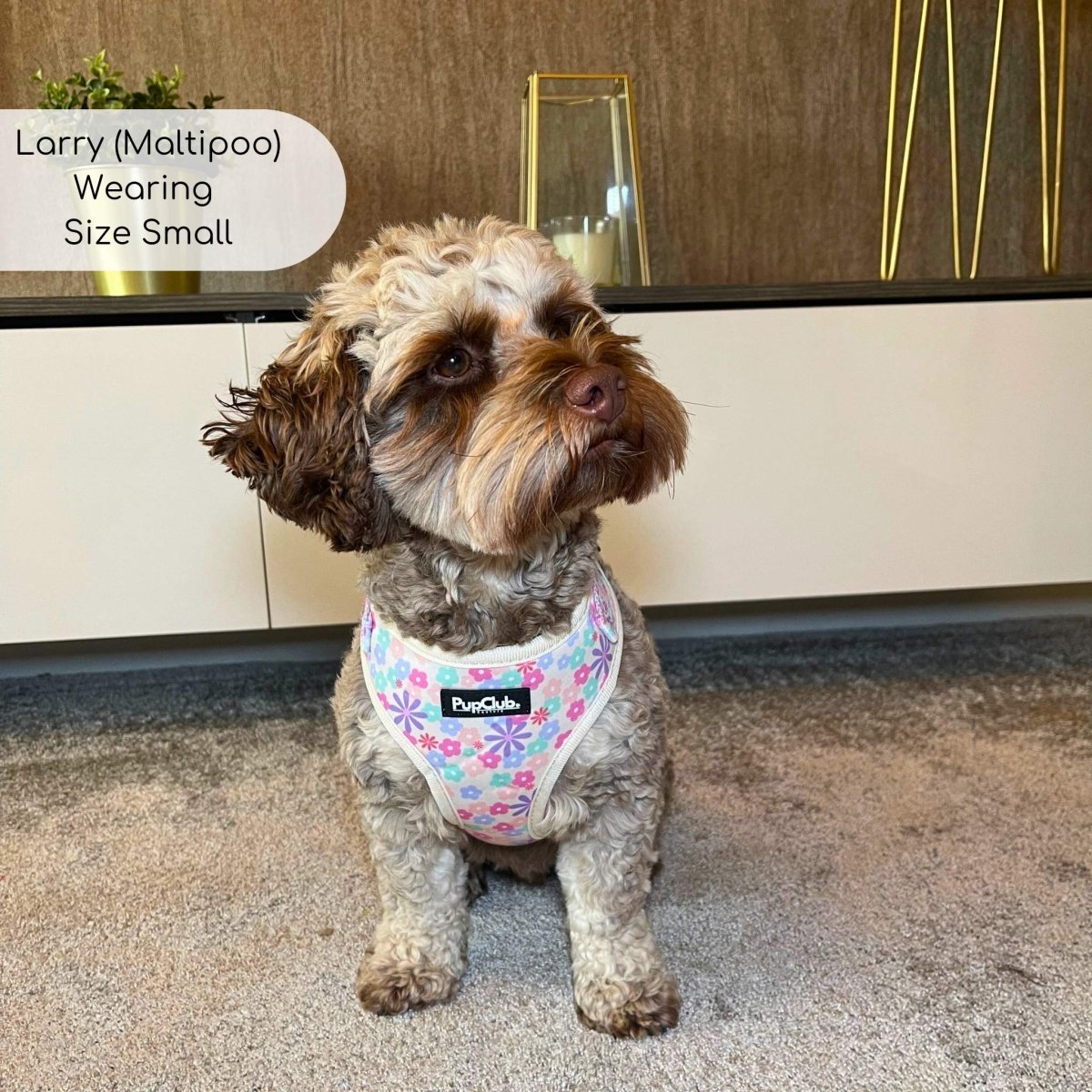 Adjustable Harness - Pretty Petals - mezetto PupClub Couture PupClub Couture