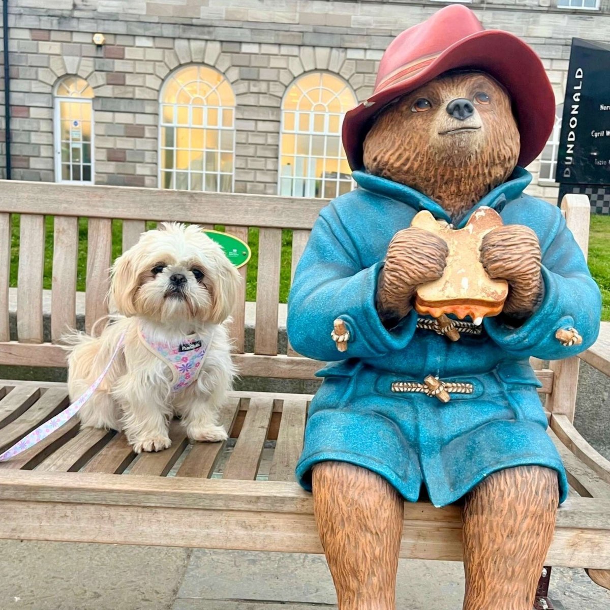 Adjustable Harness - Pretty Petals - mezetto PupClub Couture PupClub Couture