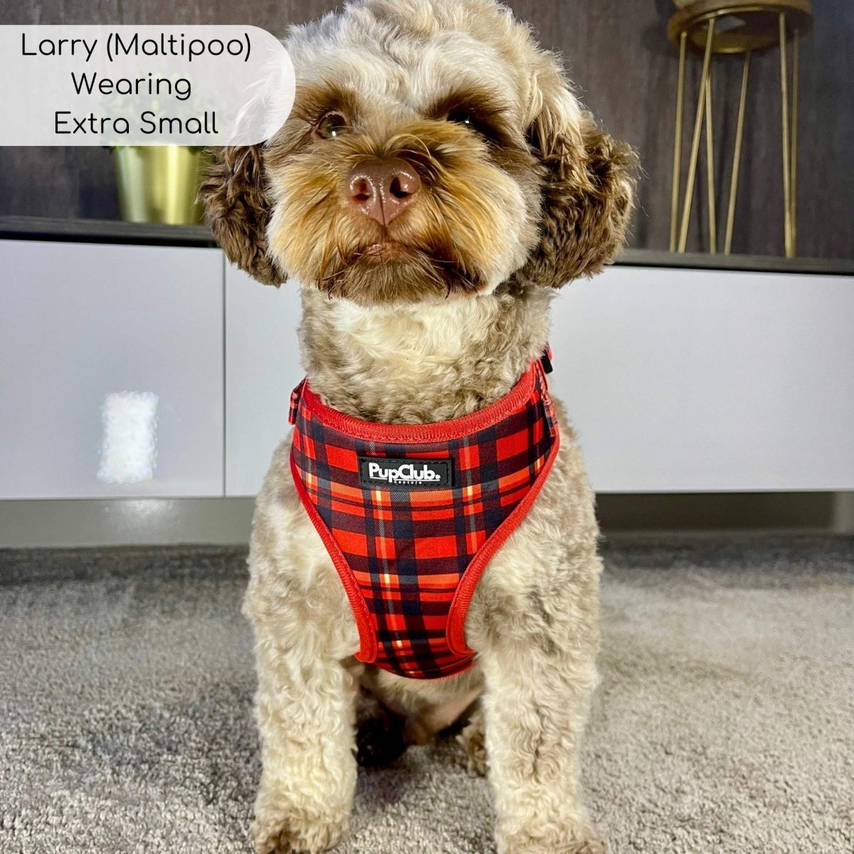 Adjustable Harness - Red Tartan - mezetto PupClub Couture PupClub Couture