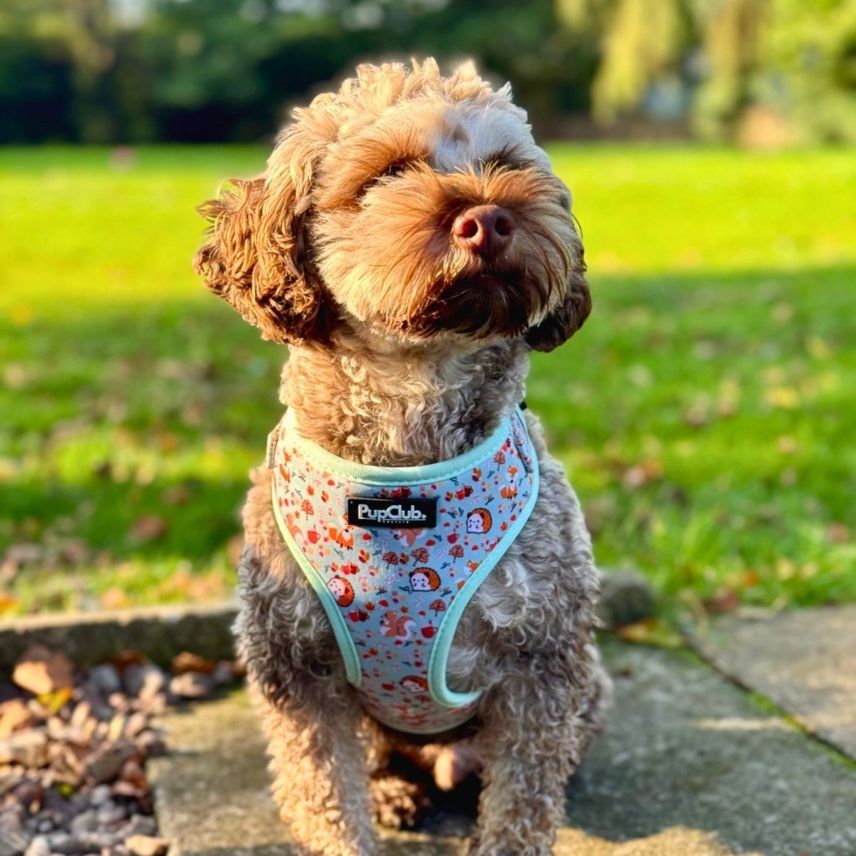 Adjustable Harness - Woodland Friends - mezetto PupClub Couture PupClub Couture