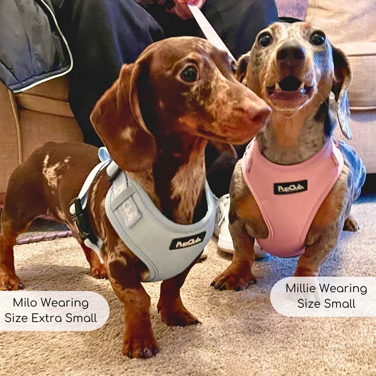 Adjustable Harness - Pastel Pink