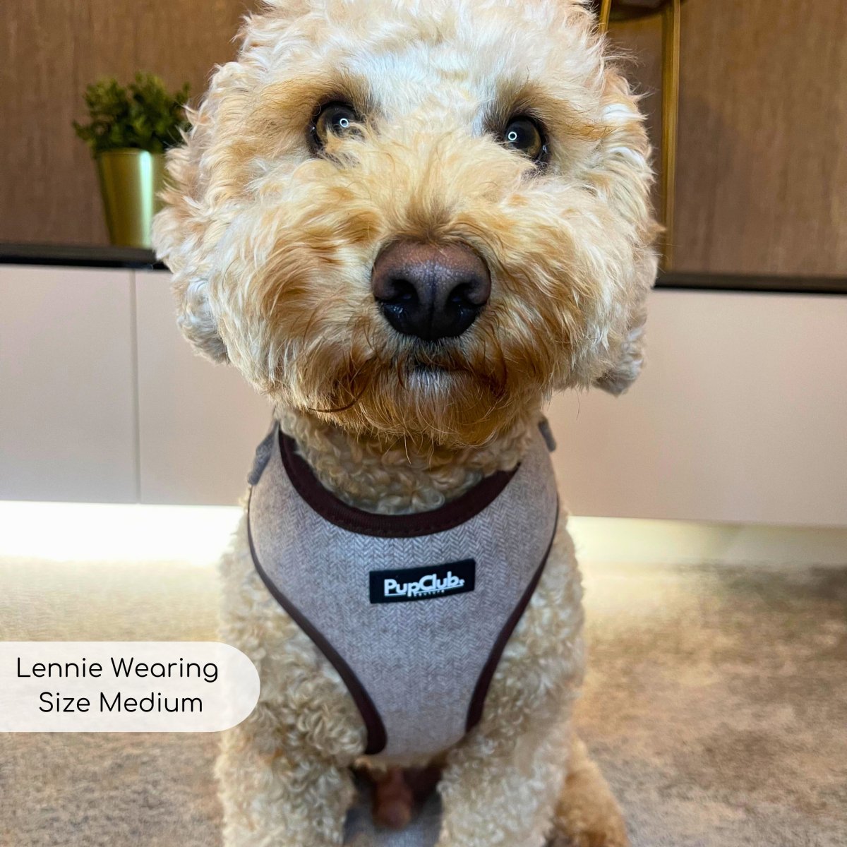 Tweed Adjustable Harness - Brown