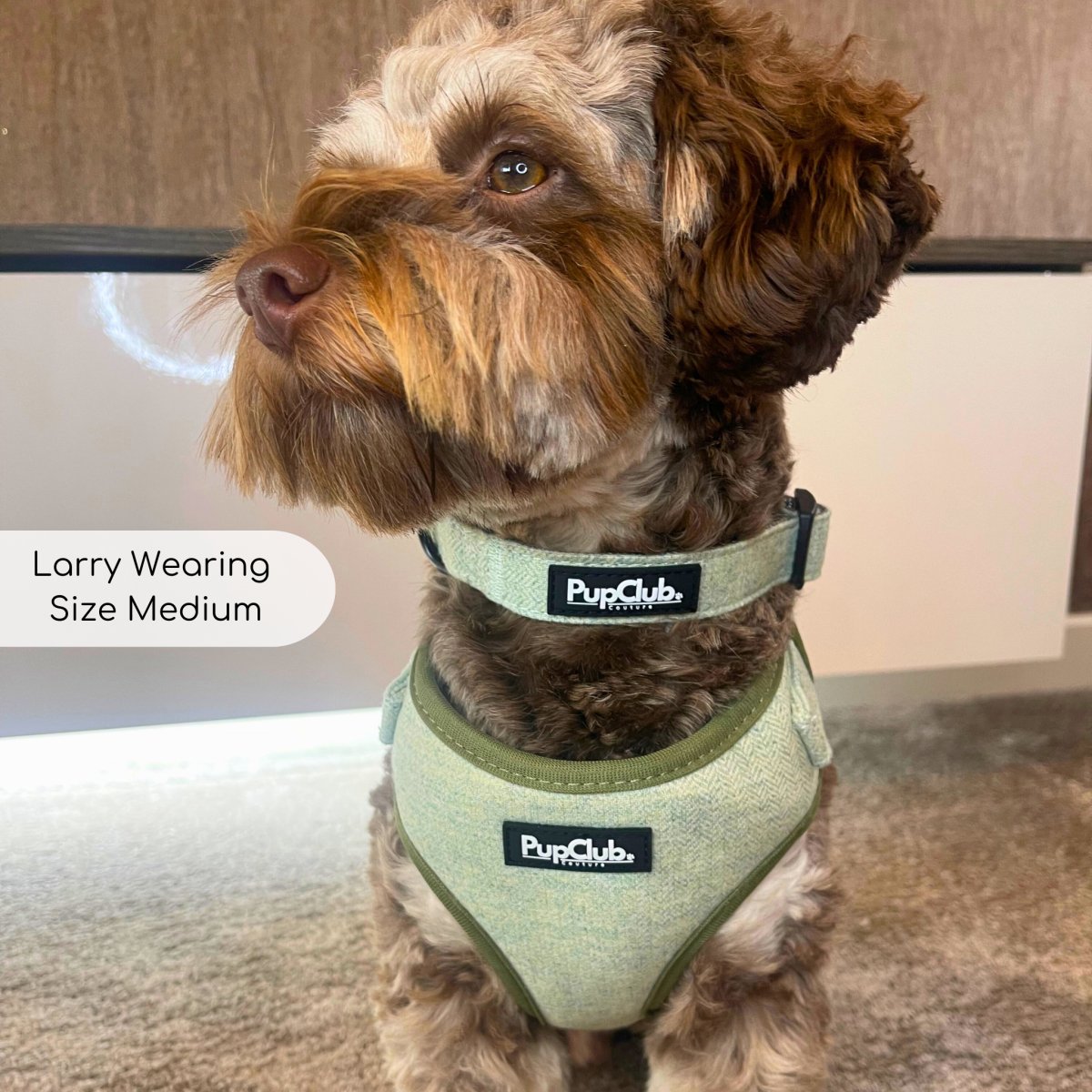 Tweed Adjustable Harness - Sage