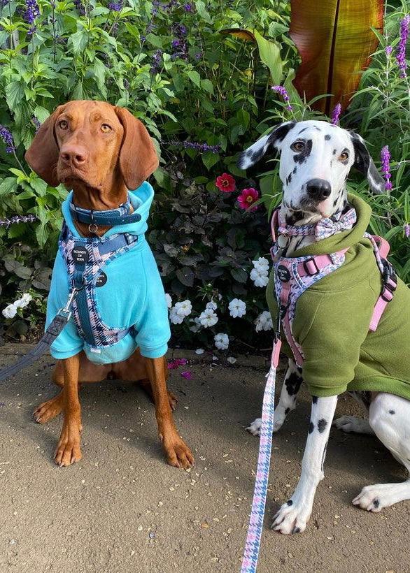 Dog Hoodie - Light Pink