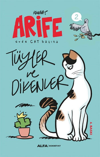 Arife Evde CAT Başına Tüyler ve Dikenler