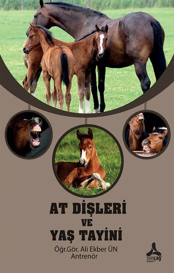 At Dişleri ve Yaş Tayini