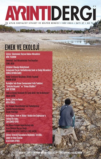 Ayrıntı Dergi - Güz 2024 (47. Sayı)