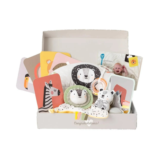 Taf Toys Newborn Play & Develop Kit