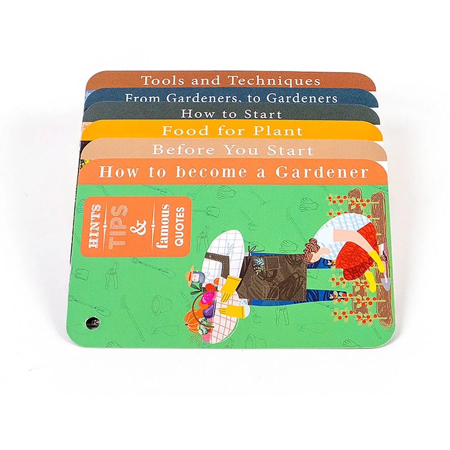 Recent Toys How to become a Gardener