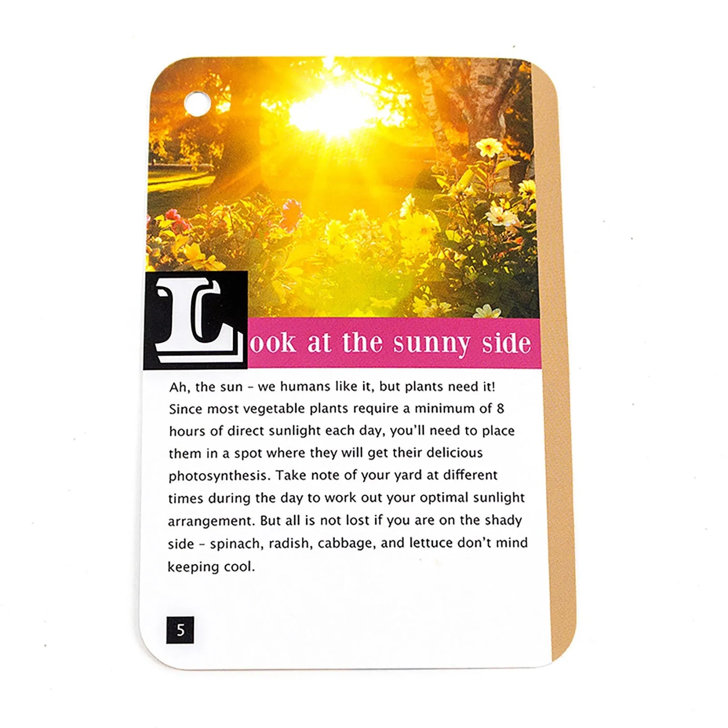 Recent Toys How to become a Gardener