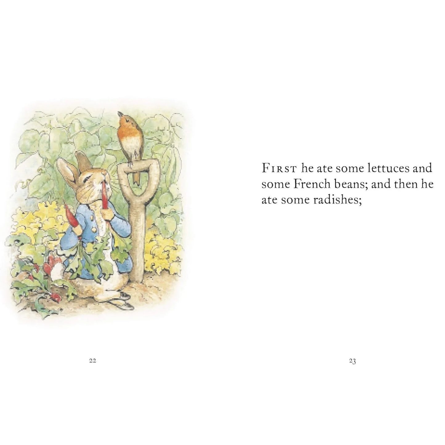 Peter Rabbit The Tale of Peter Rabbit