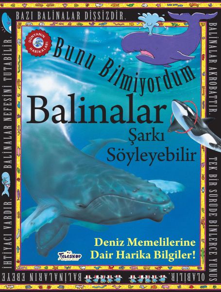 Balinalar Şarkı Söyleyebilir - Bunu Bilmiyordum - Deniz Memelilerine Dair Harika Bilgiler!