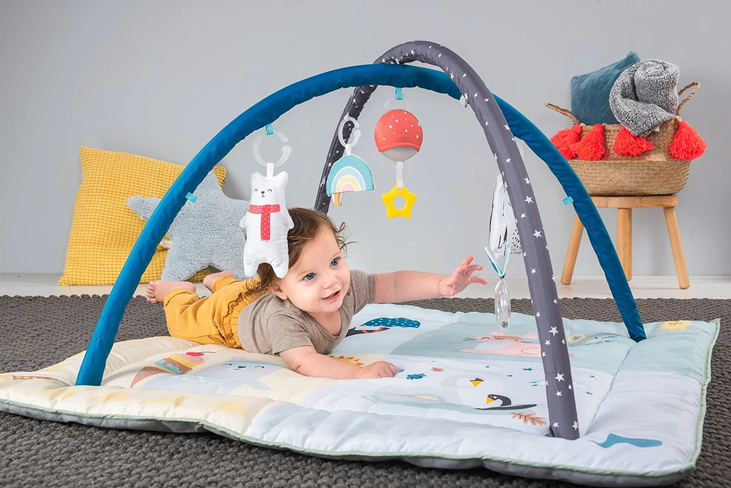 Taf Toys North Pole 4 Seasons Gym