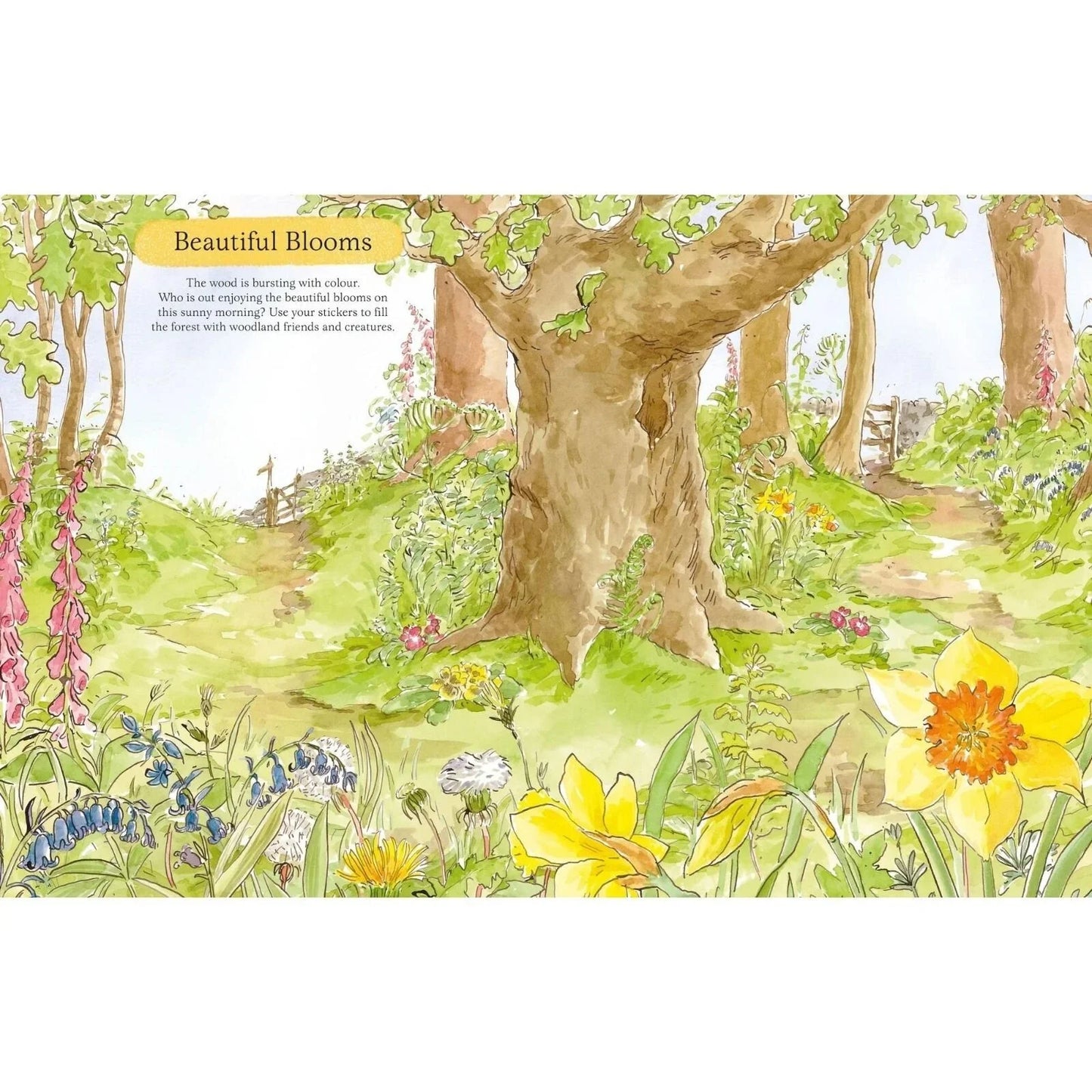 Peter Rabbit The Big Outdoors Sticker Activity Book
