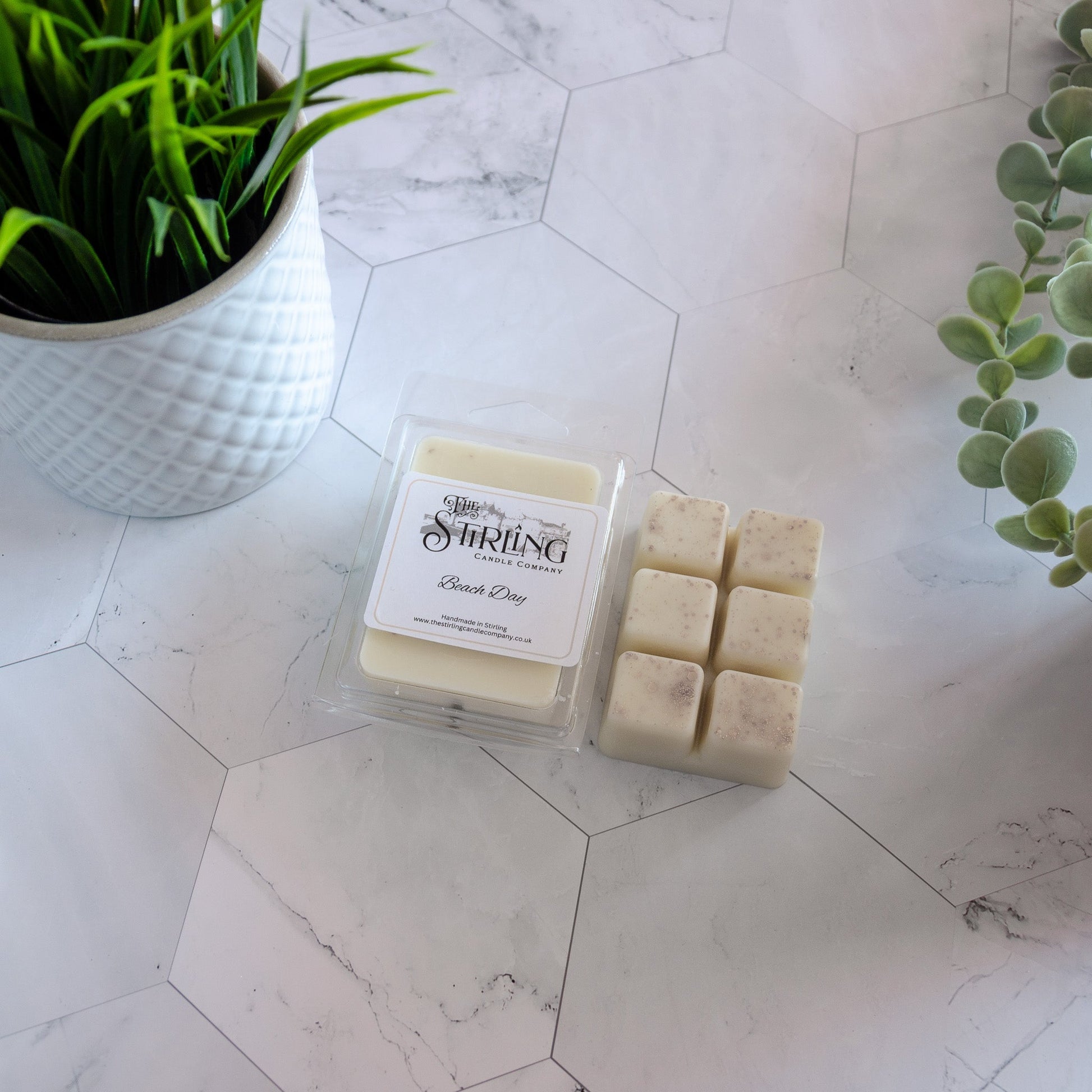 Beach Day - Wax Melt Clamshell - mezetto Shopify Collective The Stirling Candle Company