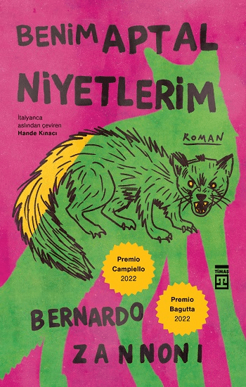 Benim Aptal Niyetlerim - Timaş Yayınları Kitap