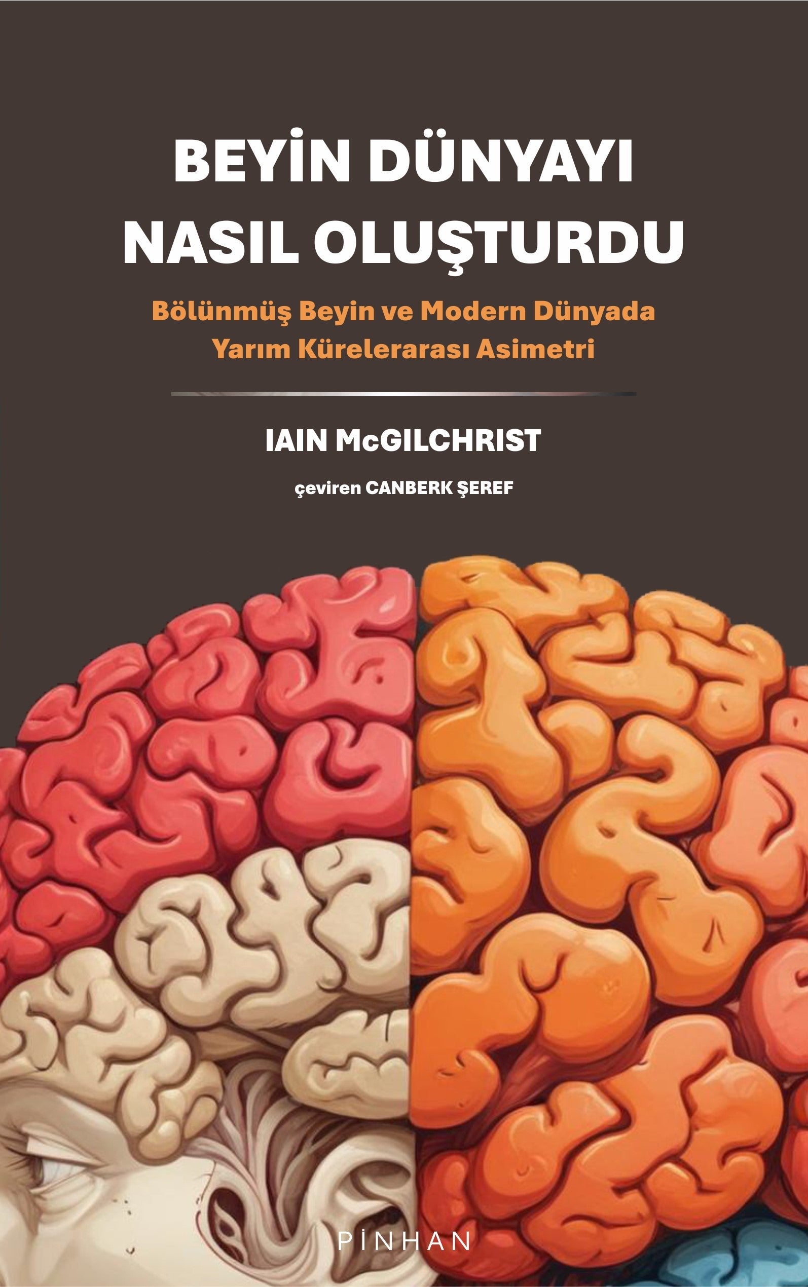 Beyin Dünyası Nasıl Oluşur?