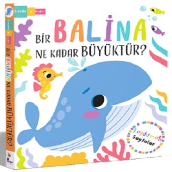 Bir Balina Ne Kadar Büyüktür? – Kaydır + Keşfet (Çiltli)