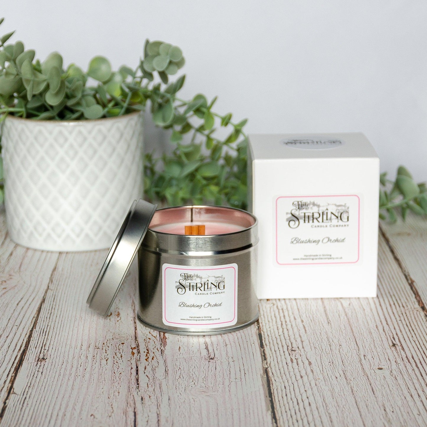 Blushing Orchid - Travel Tin Candle - Wooden Wick - mezetto Shopify Collective The Stirling Candle Company