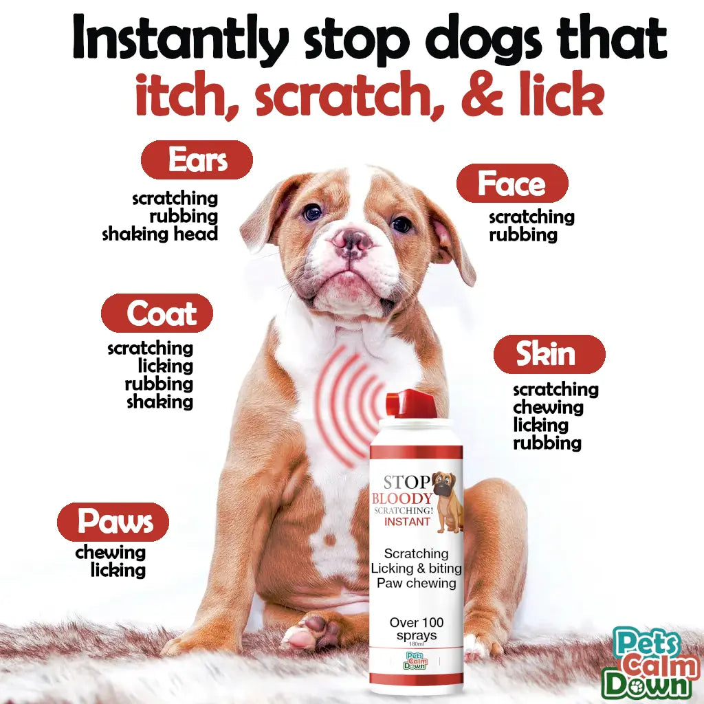 Dog training spray for scratching, rubbing, licking, biting, and chewing