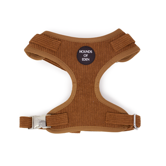 Choca Mocha - Brown Corduroy Harness