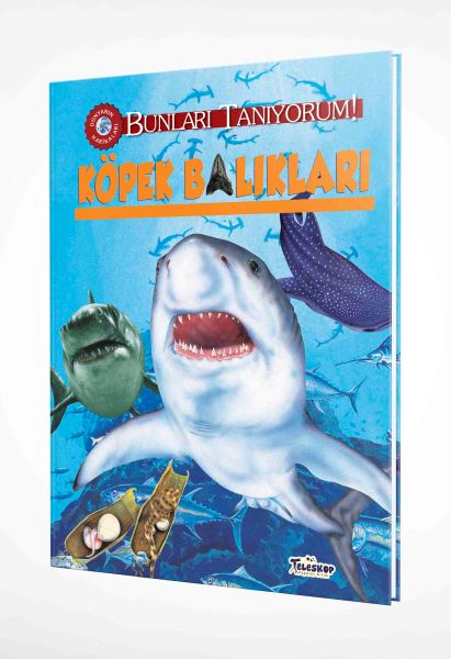 Bunları Tanıyorum! - Köpek Balıkları (Çiltli)