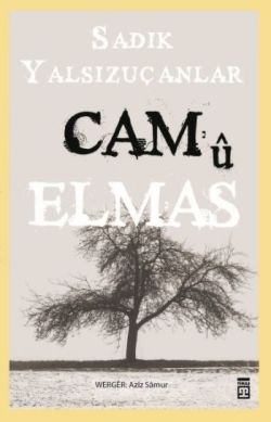 Cam ü Elmas - mezetto