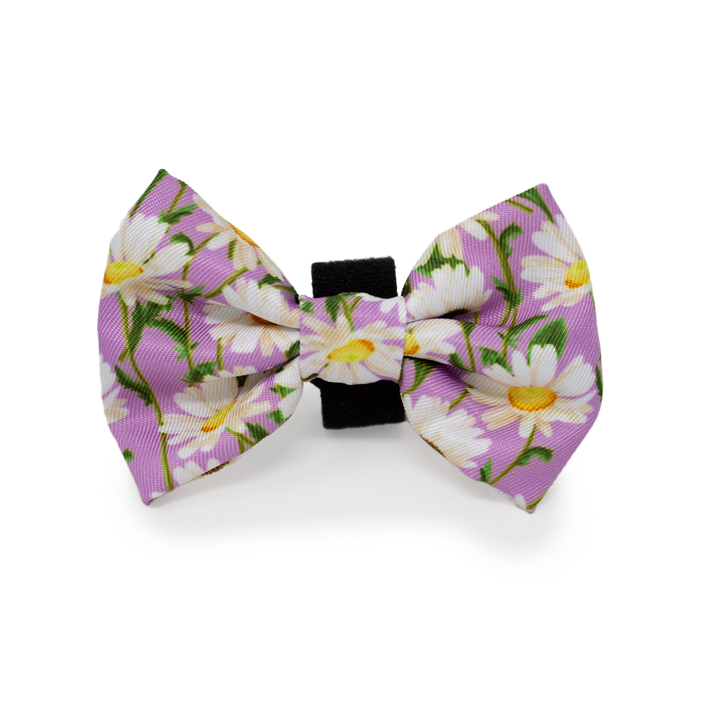 Daisy Dreams Design Dog Harness