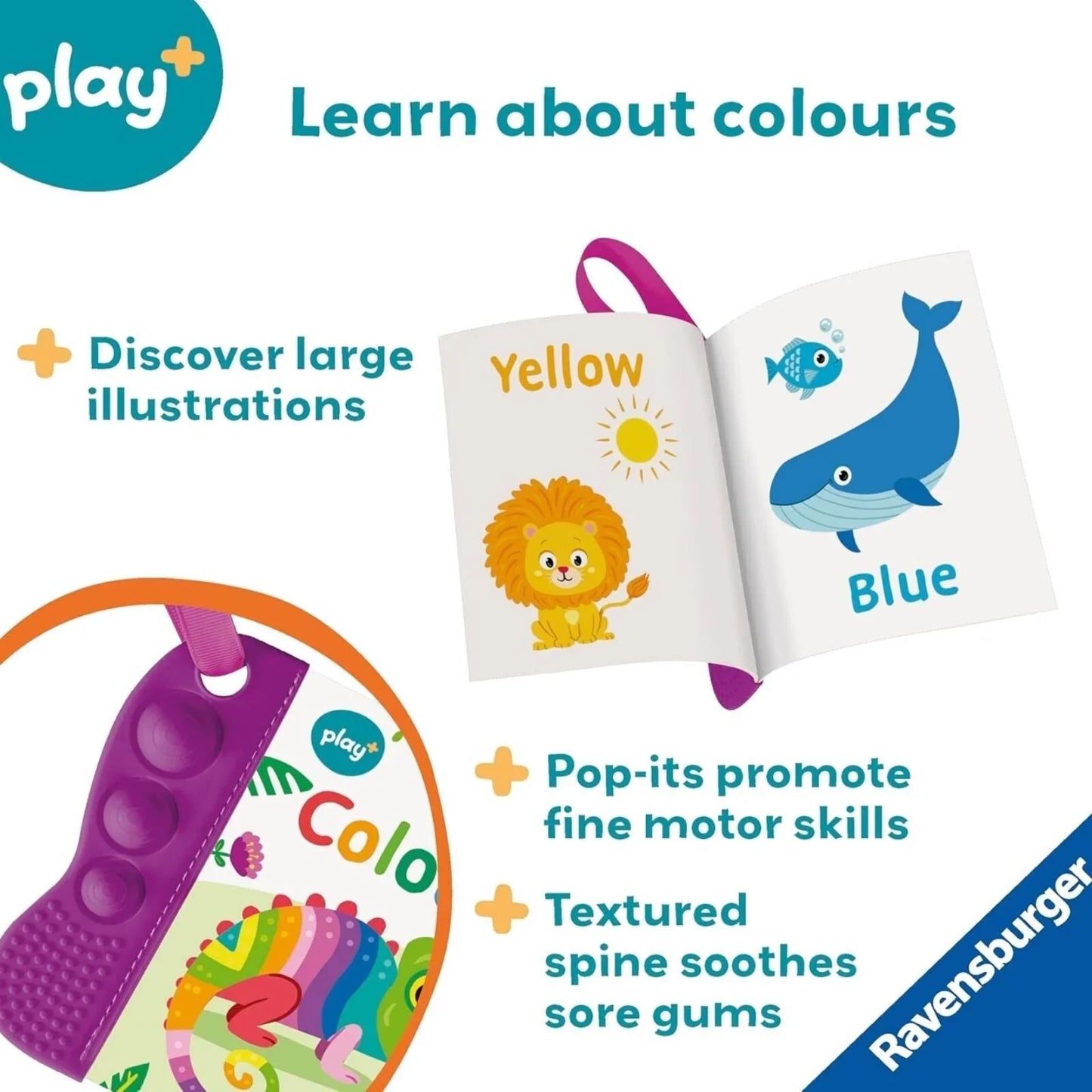 Play+ Flip & Pop Colours Book