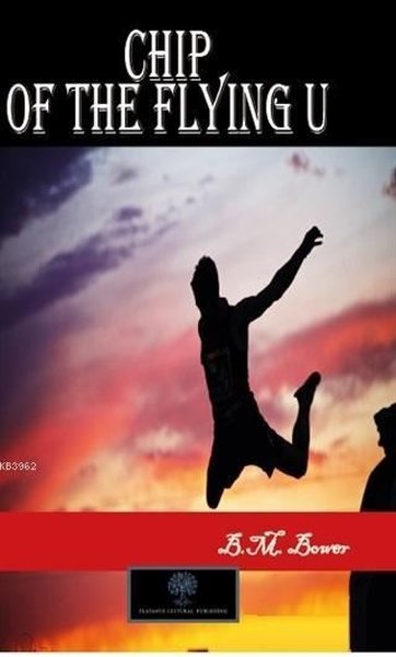 Chip des fliegenden U