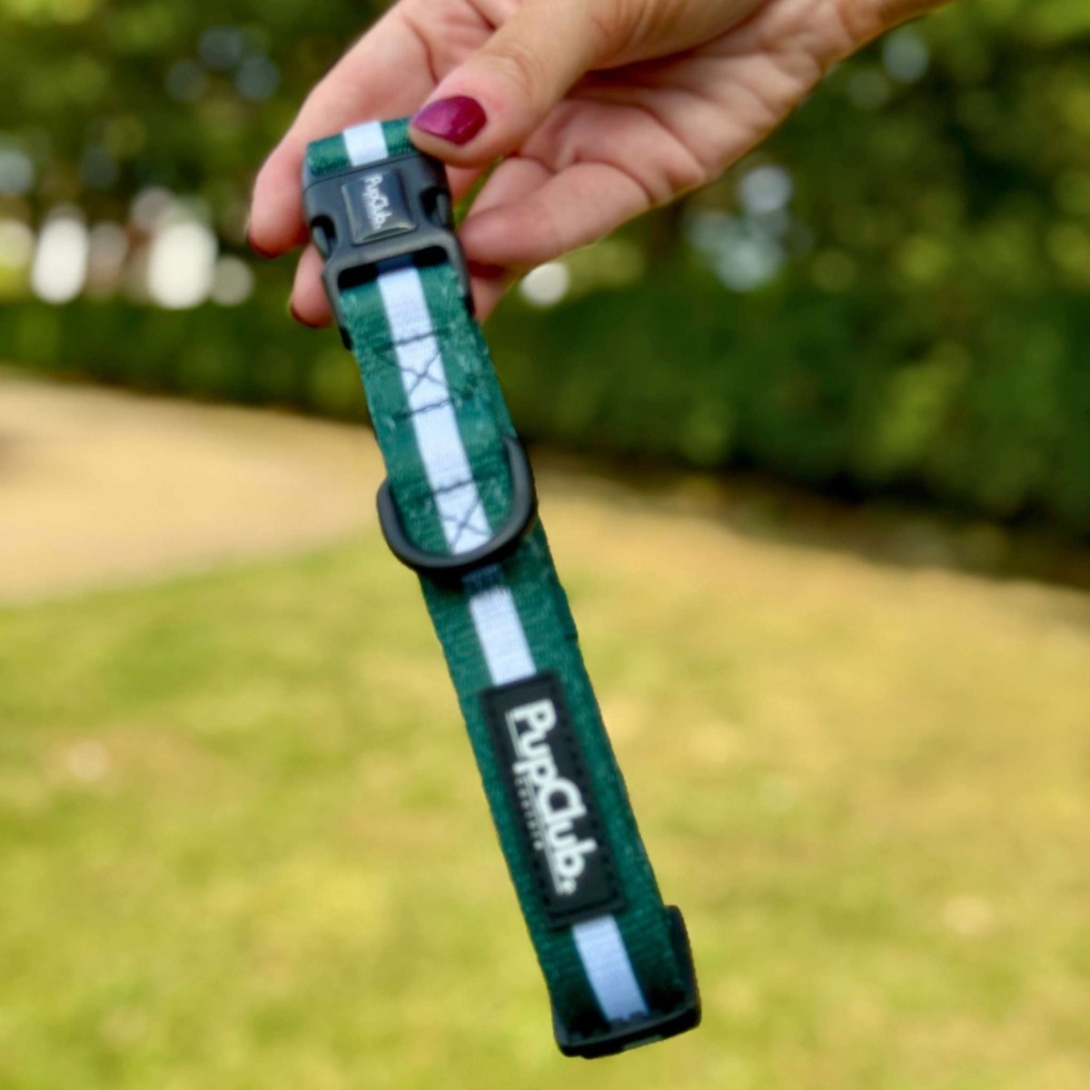 Collar - Forest Green - mezetto PupClub Couture PupClub Couture