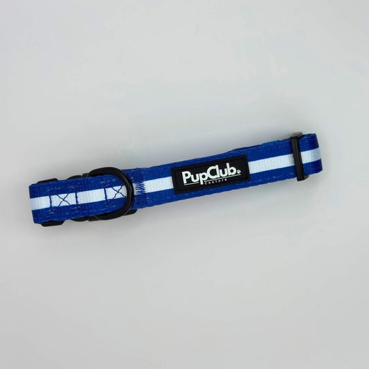 Collar - Royal Blue - mezetto PupClub Couture PupClub Couture