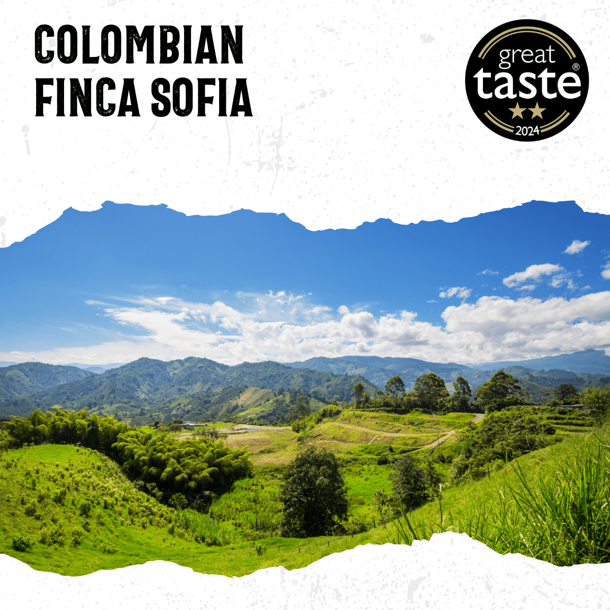 Colombia Finca Sofia - mezetto Acorns Coffee & Cake Acorns Coffee & Cake