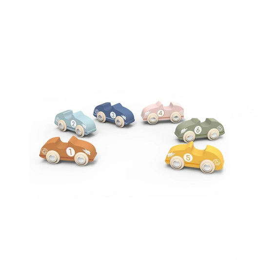 Speedy Monkey Racing Cars