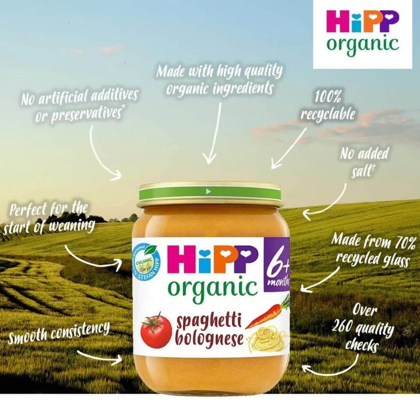 HiPP Organic Spaghetti Bolognese Baby Food Jar 6+ months 125g