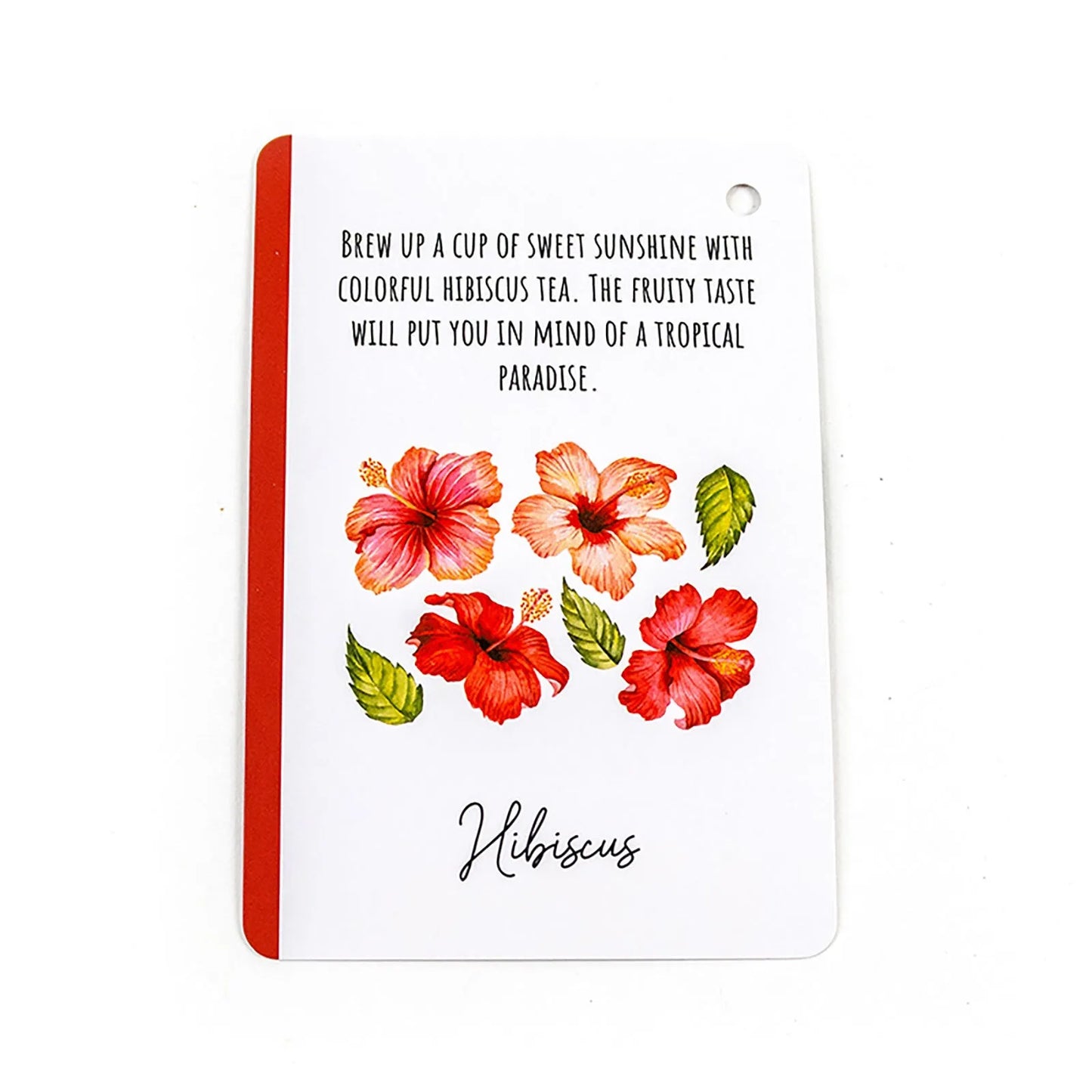 Recent Toys How to become a Vegan