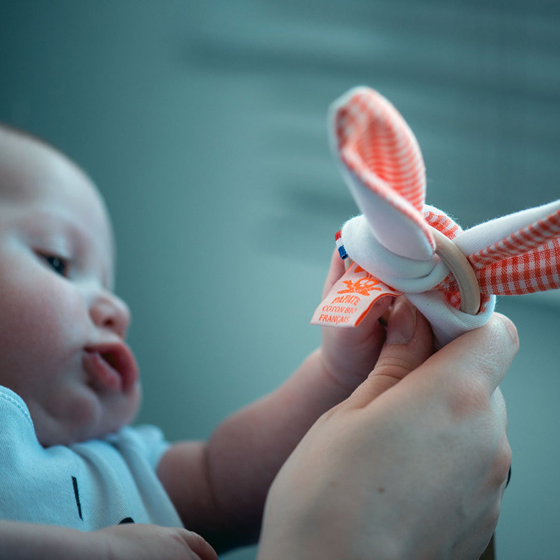 Organic Cotton Teething Ring - Vichy